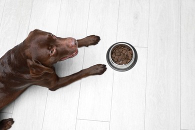 Photo of Cute dog lying near bowl of dry pet food on floor indoors, top view