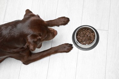 Photo of Cute dog lying near bowl of dry pet food on floor indoors, top view