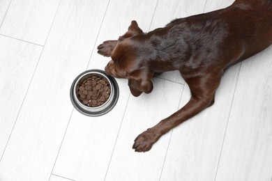 Photo of Cute dog lying near bowl of dry pet food on floor indoors, top view