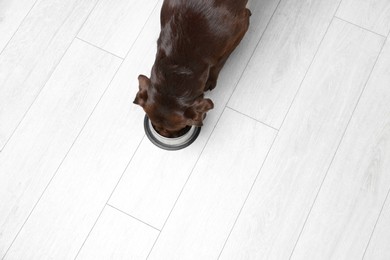 Photo of Cute dog eating dry pet food from feeding bowl on floor indoors, top view