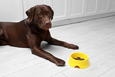 Photo of Cute dog lying near bowl of dry pet food on floor indoors