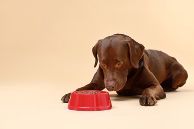 Photo of Cute dog lying near bowl of dry pet food on beige background, space for text