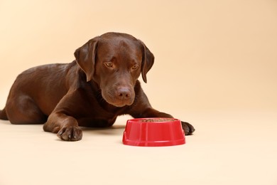 Photo of Cute dog lying near bowl of dry pet food on beige background, space for text