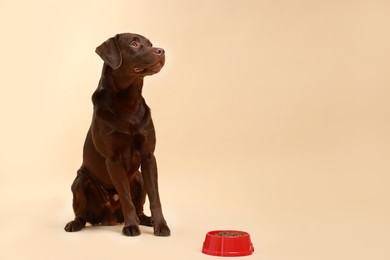 Photo of Cute dog sitting near bowl of dry pet food on beige background, space for text