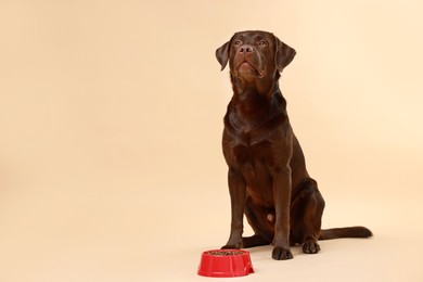 Photo of Cute dog sitting near bowl of dry pet food on beige background, space for text