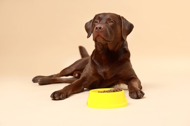 Photo of Cute dog lying near bowl of dry pet food on beige background