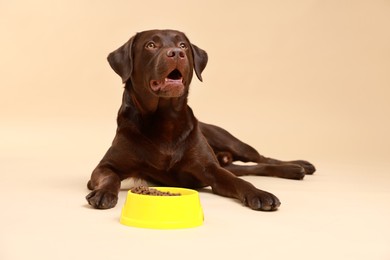 Photo of Cute dog lying near bowl of dry pet food on beige background