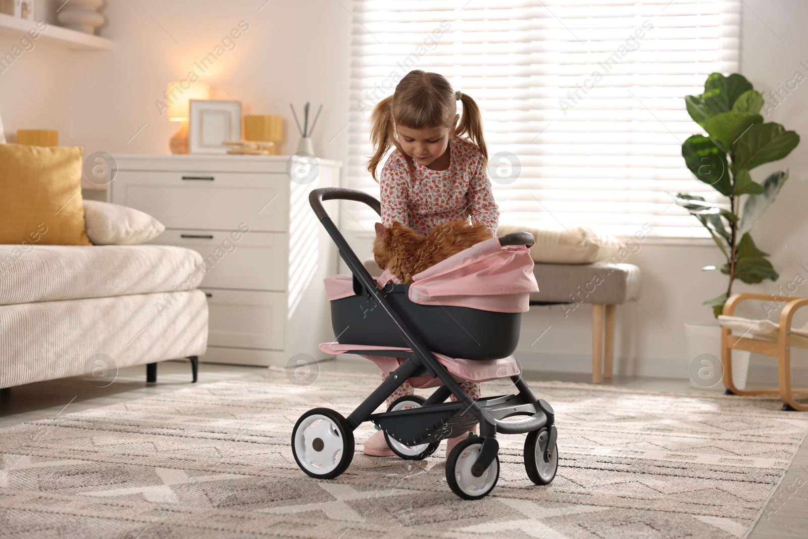 Photo of Cute little girl putting her ginger cat into doll stroller at home