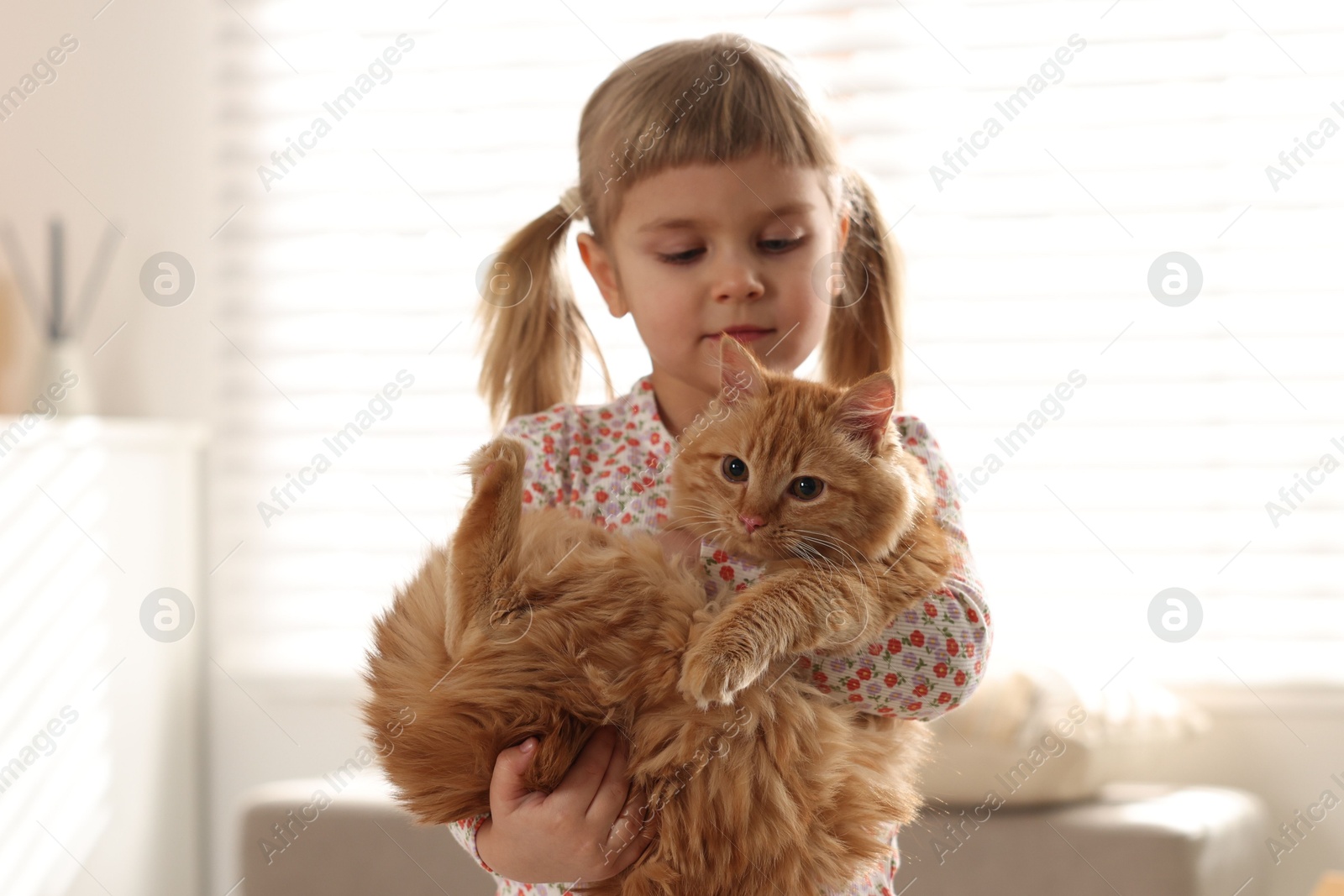 Photo of Cute little girl with her ginger cat at home