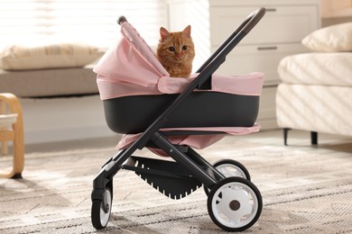 Photo of Cute ginger cat in doll stroller indoors