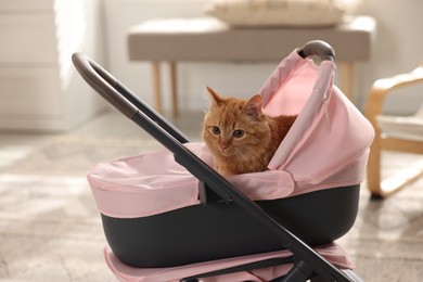 Photo of Cute ginger cat in doll stroller indoors