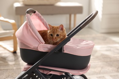 Photo of Cute ginger cat in doll stroller indoors