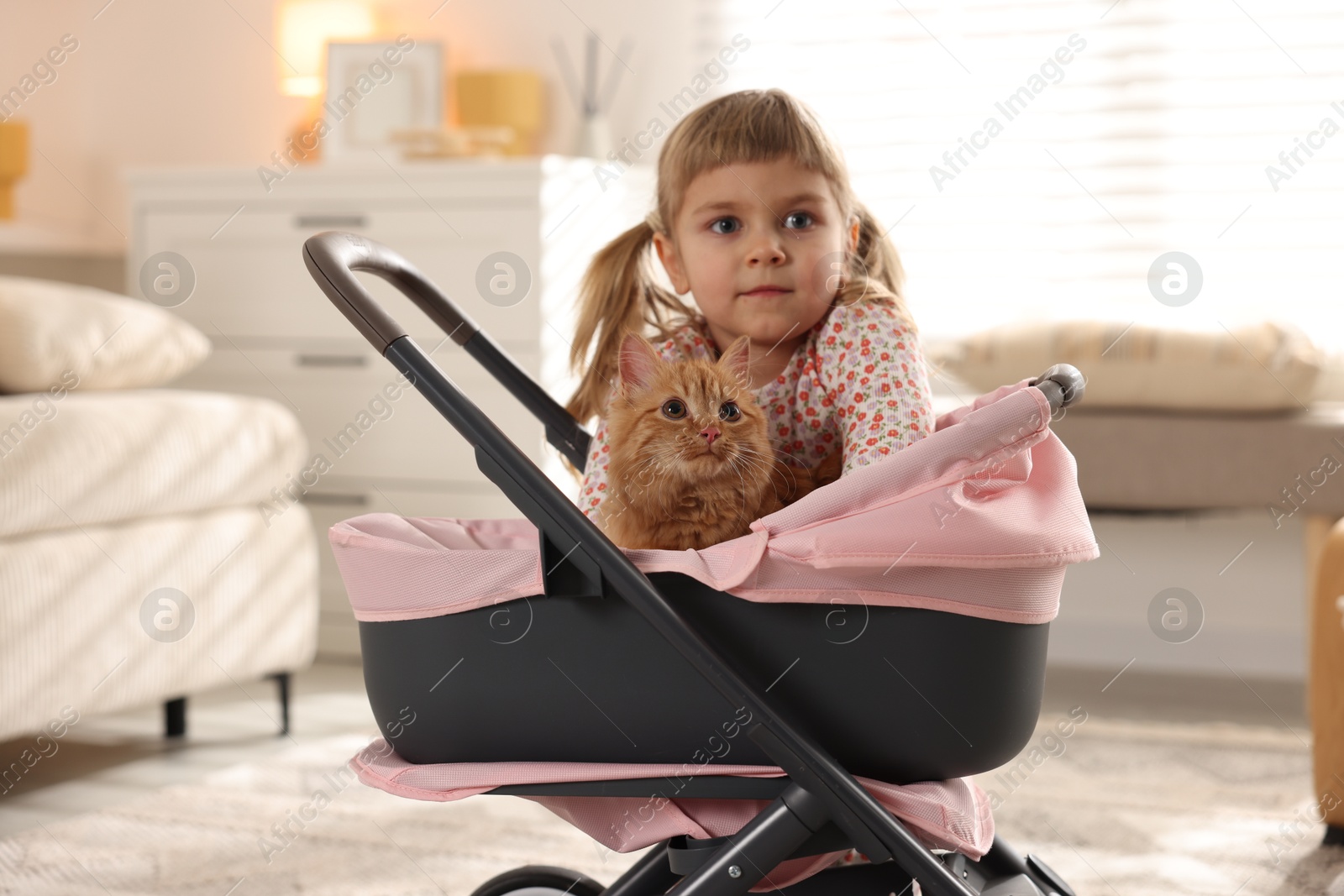 Photo of Cute little girl with her ginger cat in doll stroller at home