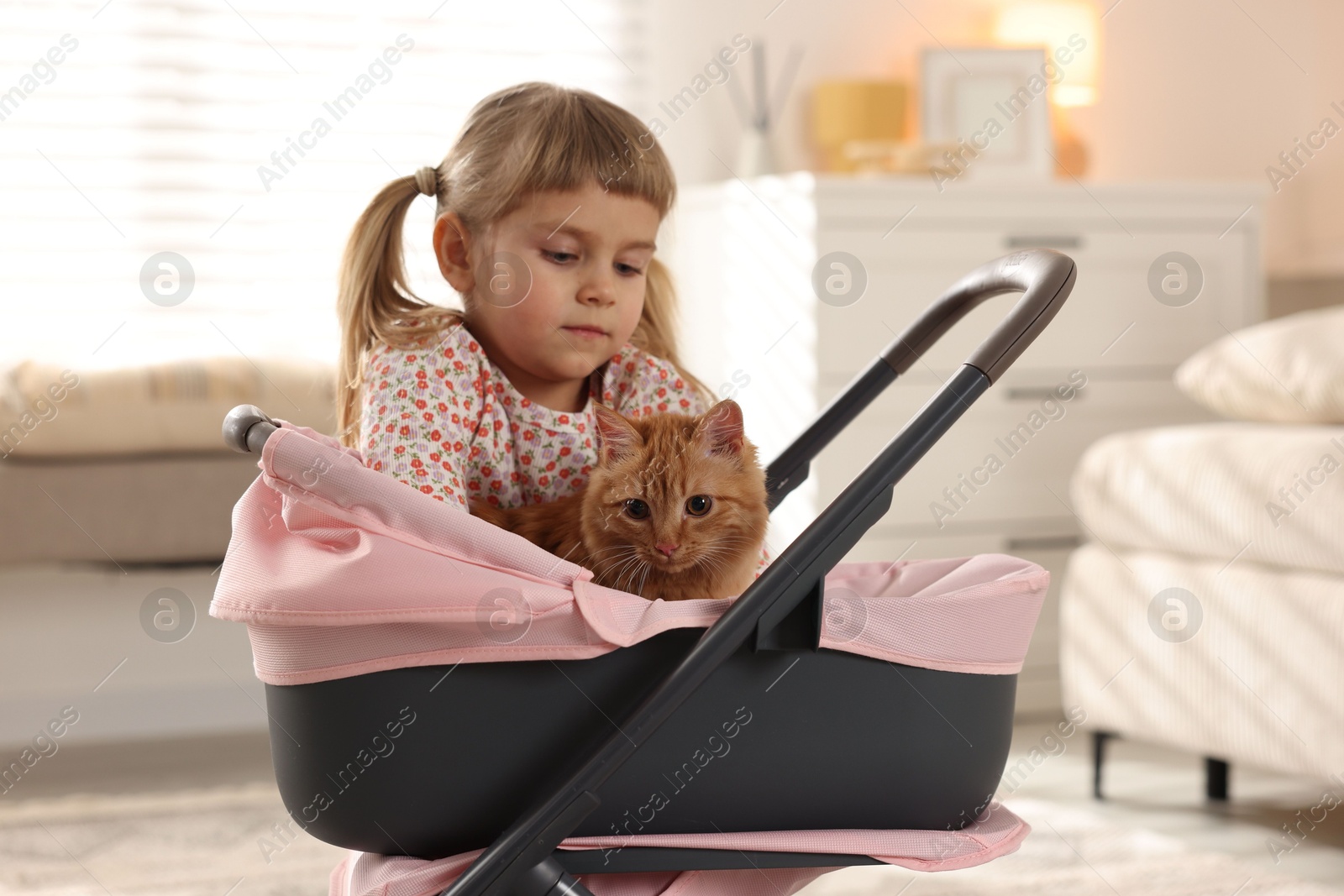 Photo of Cute little girl with her ginger cat in doll stroller at home