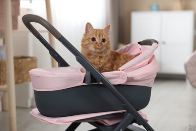 Photo of Cute ginger cat in doll stroller indoors