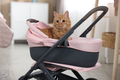 Photo of Cute ginger cat in doll stroller indoors