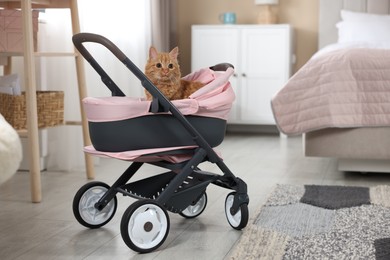 Photo of Cute ginger cat in doll stroller indoors