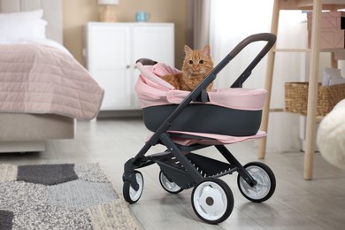 Photo of Cute ginger cat in doll stroller indoors