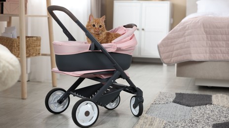 Photo of Cute ginger cat in doll stroller indoors