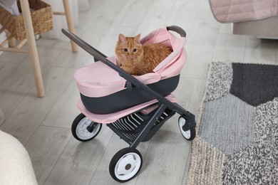 Photo of Cute ginger cat in doll stroller indoors