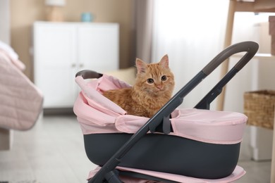 Photo of Cute ginger cat in doll stroller indoors