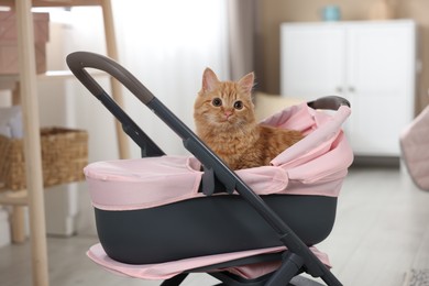 Photo of Cute ginger cat in doll stroller indoors