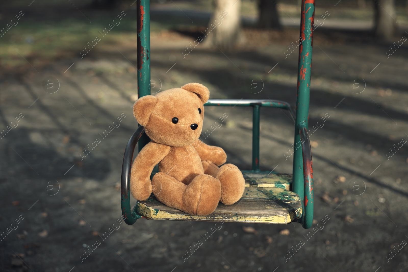 Photo of Lost brown teddy bear on swing outdoors