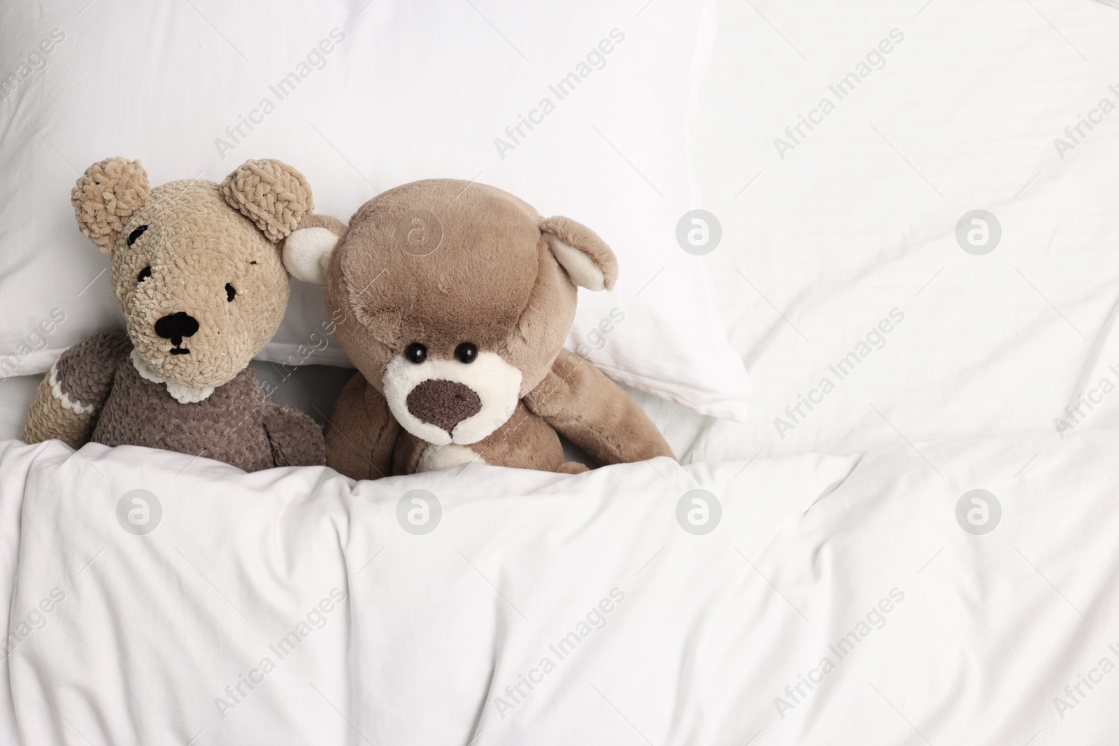 Photo of Two cute teddy bears in bed, above view. Space for text