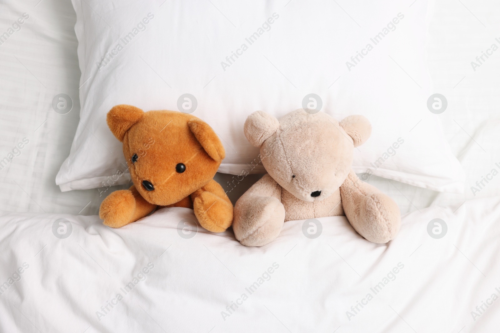 Photo of Two cute teddy bears in bed, above view