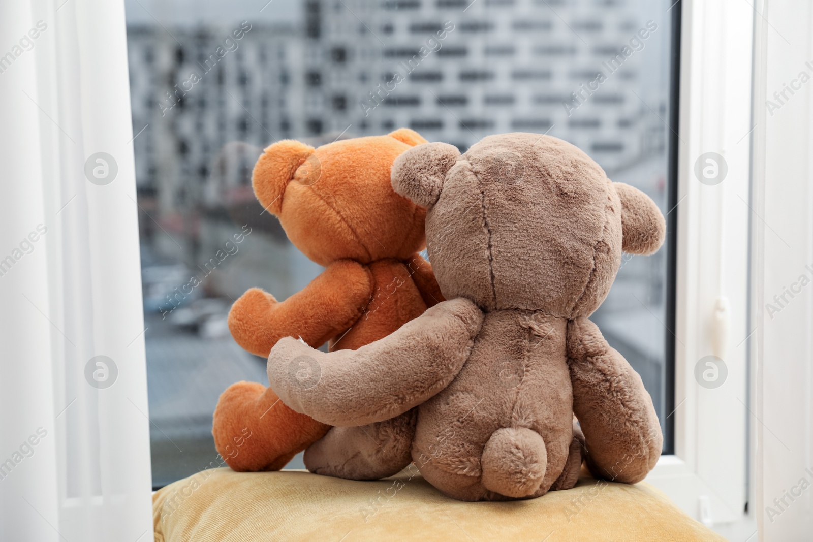 Photo of Teddy bears on window sill at home, back view