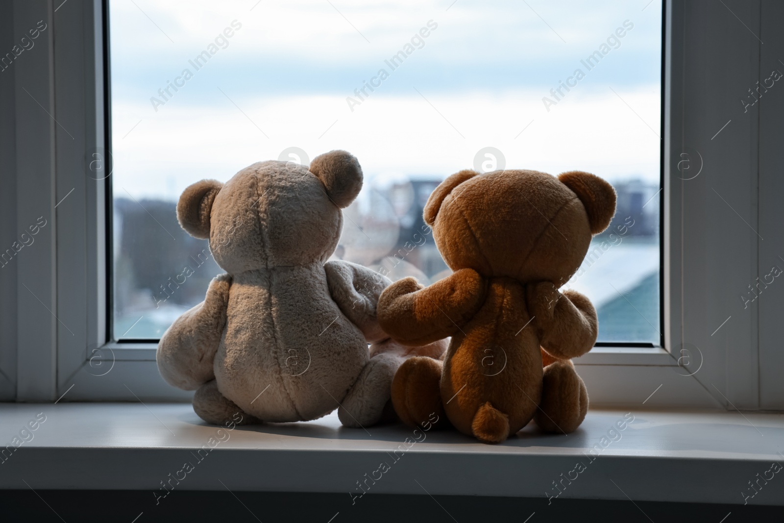 Photo of Two cute teddy bears near window indoors, back view