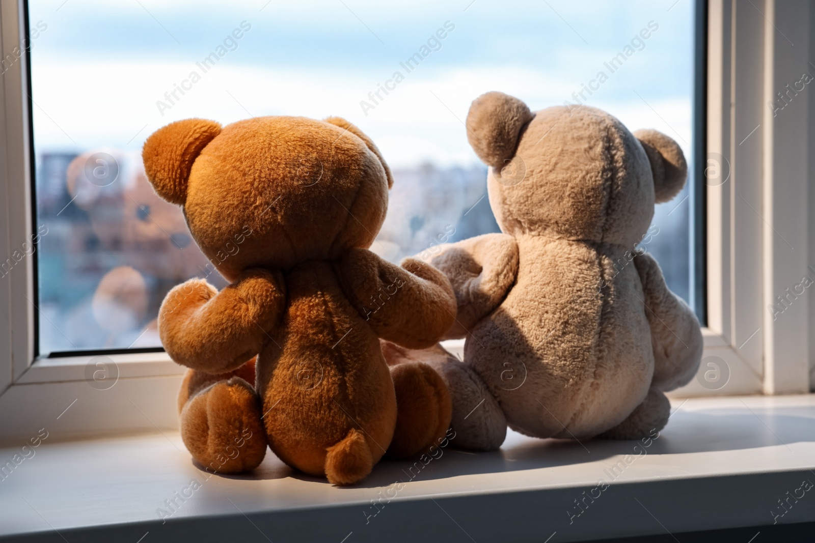 Photo of Two cute teddy bears near window indoors, back view