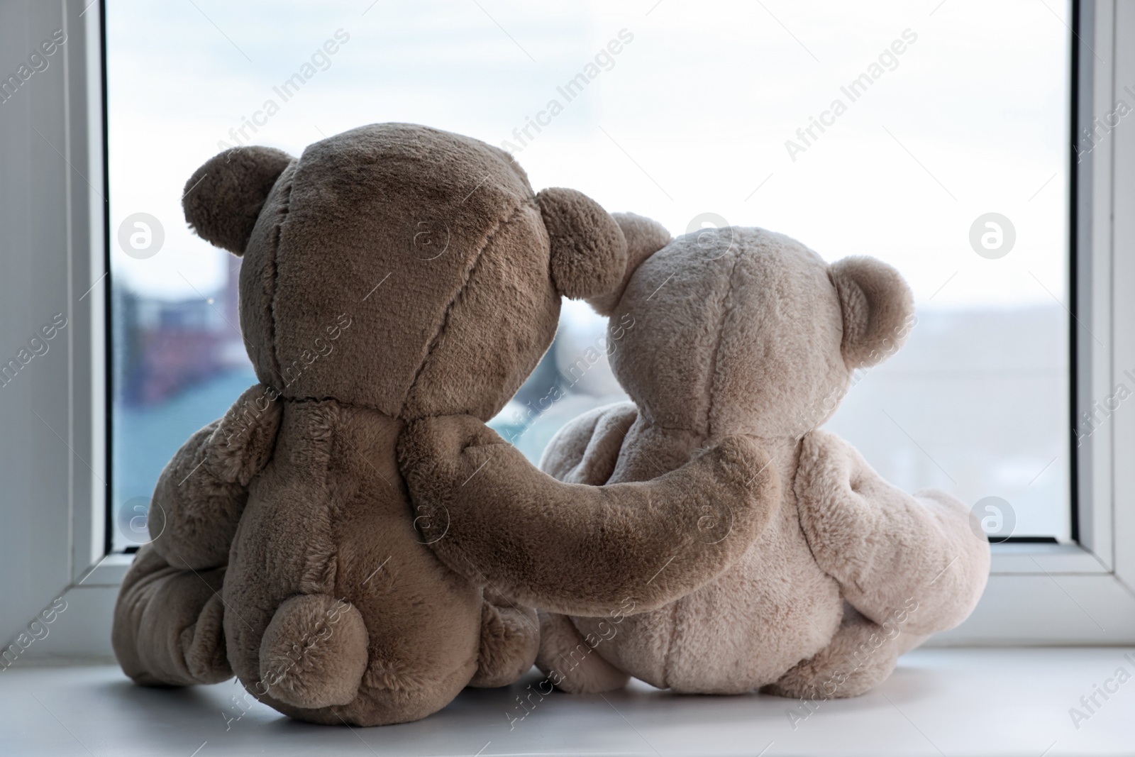 Photo of Two cute teddy bears near window indoors, back view