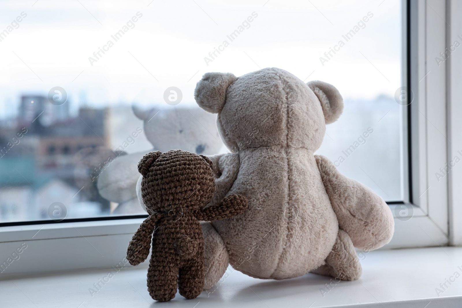 Photo of Two cute teddy bears near window indoors, back view