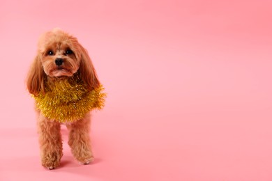 Photo of Cute dog with shiny tinsel on pink background. Space for text