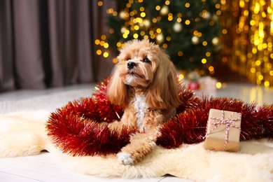 Photo of Cute dog with shiny tinsel and gift box on floor against blurred lights