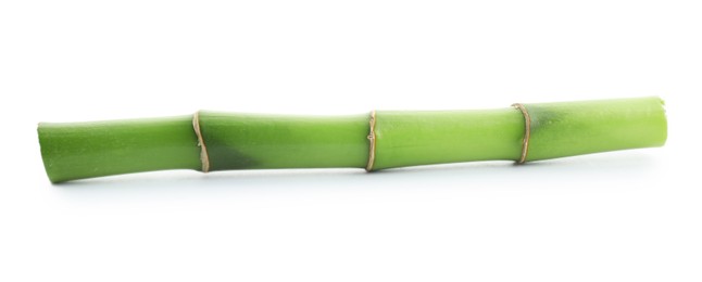 Photo of Piece of bamboo stem isolated on white