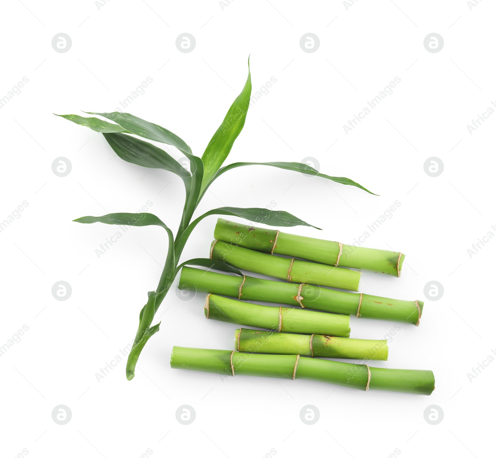 Photo of Cut green bamboo stems and leaves isolated on white, top view