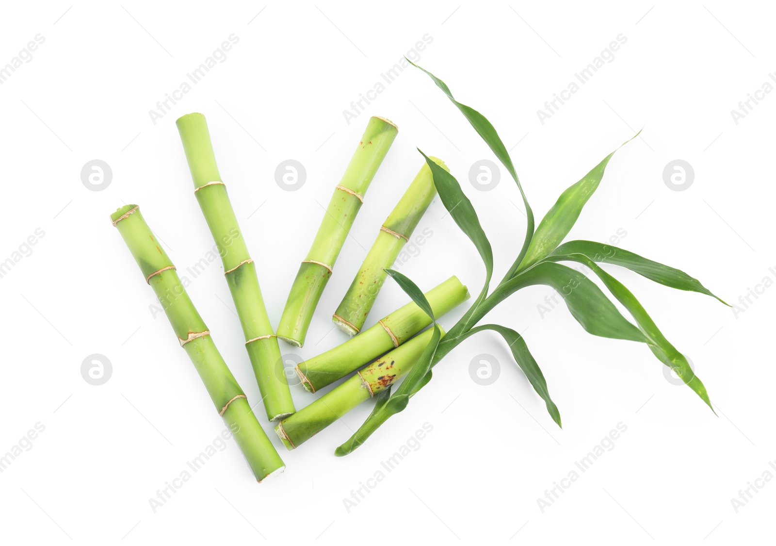 Photo of Cut green bamboo stems and leaves isolated on white, top view