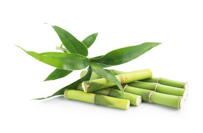 Photo of Cut green bamboo stems and leaves isolated on white