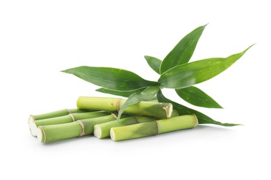 Photo of Cut green bamboo stems and leaves isolated on white