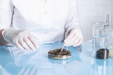 Photo of Laboratory testing. Scientist pouring liquid onto sand sample at table indoors, closeup