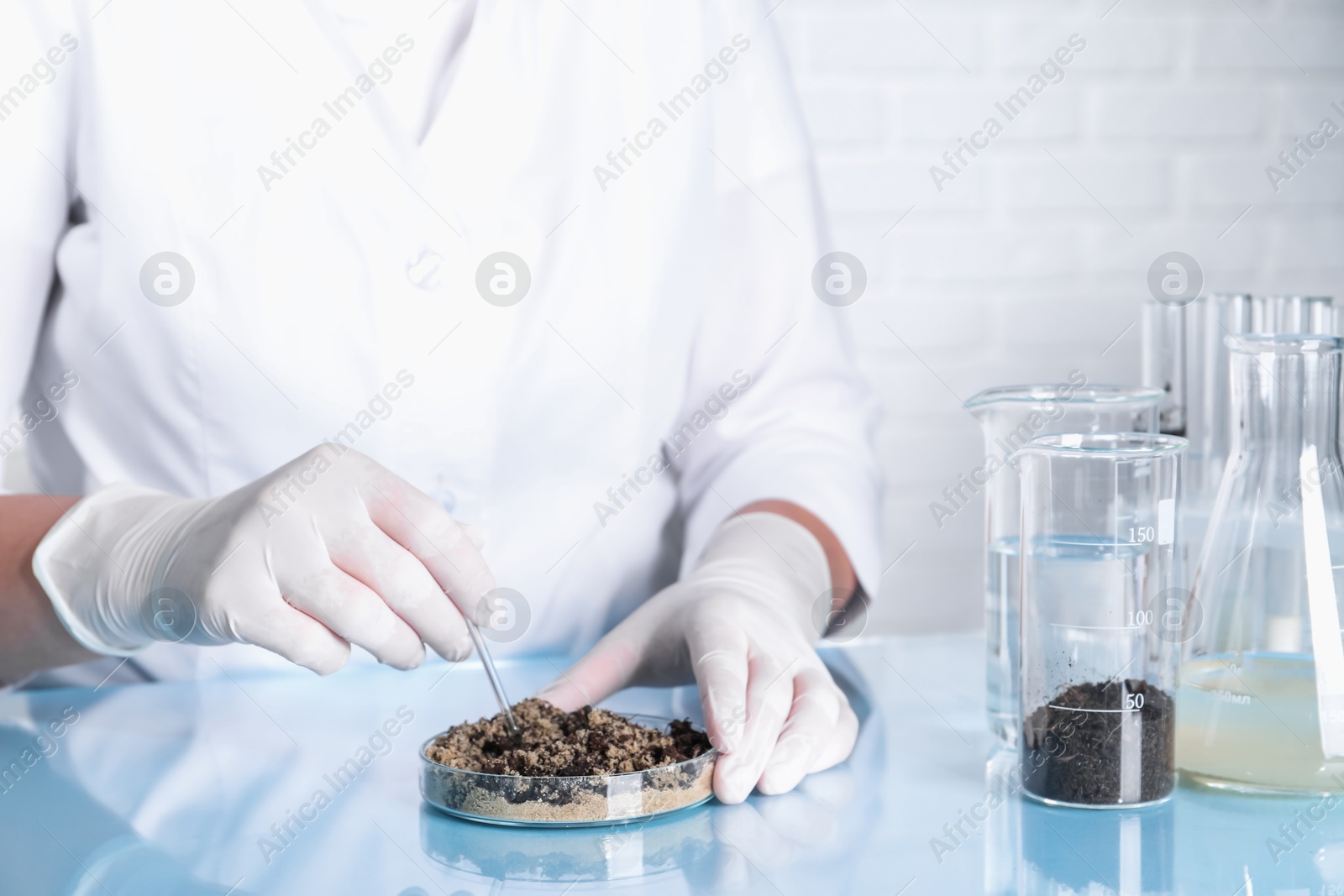 Photo of Laboratory testing. Scientist working with sand sample at table indoors, closeup