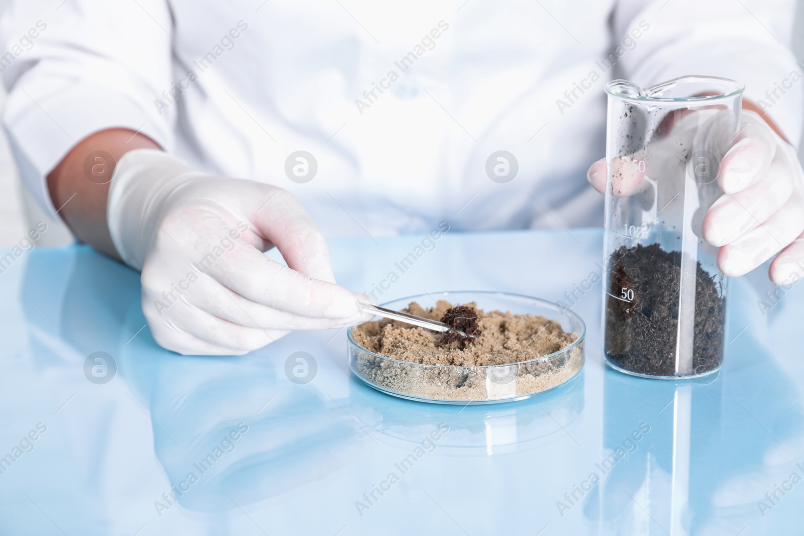 Photo of Laboratory testing. Scientist working with soil samples at table indoors, closeup