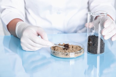 Photo of Laboratory testing. Scientist working with soil samples at table indoors, closeup