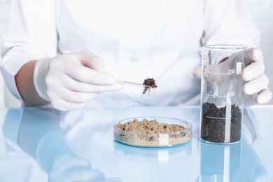 Photo of Laboratory testing. Scientist working with soil samples at table indoors, closeup