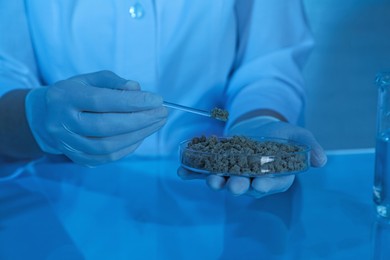 Photo of Laboratory testing. Scientist holding petri dish with sand sample at table indoors, closeup