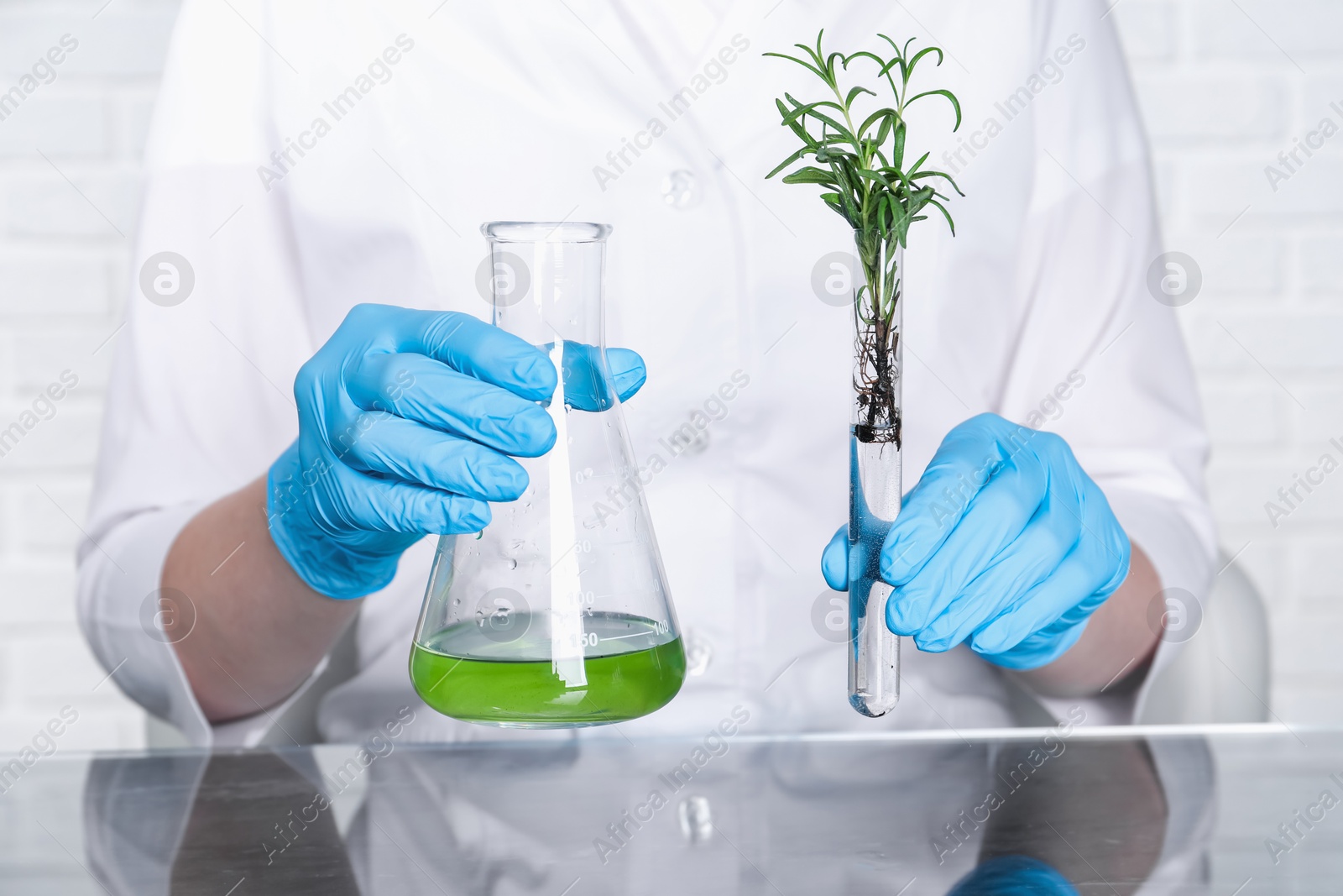 Photo of Laboratory testing. Scientist holding test tube with rosemary and flask of sample at table indoors, closeup