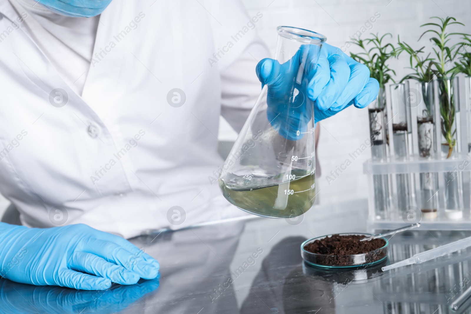 Photo of Laboratory testing. Scientist holding flask with sample at table indoors, closeup