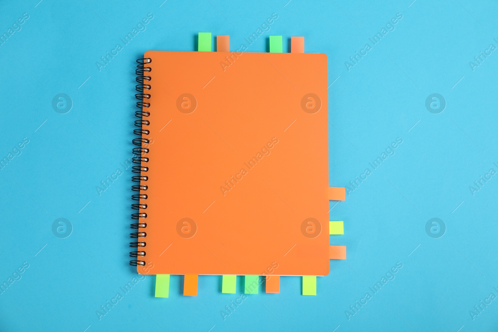 Photo of Notebook with colorful tabs on light blue background, top view